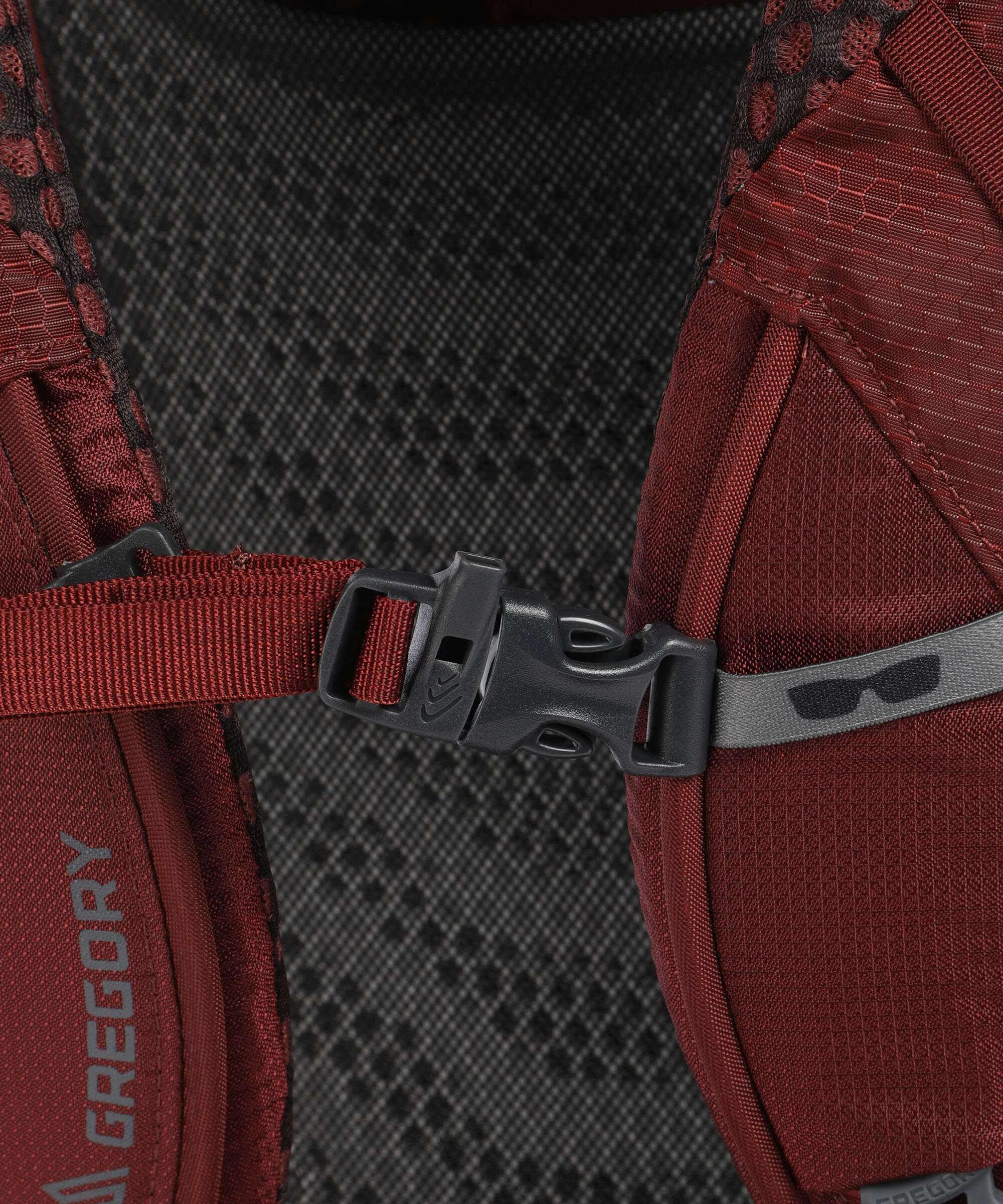 Gregory Baltoro 65 RC LG Plecak trekkingowy brick red - Image 3