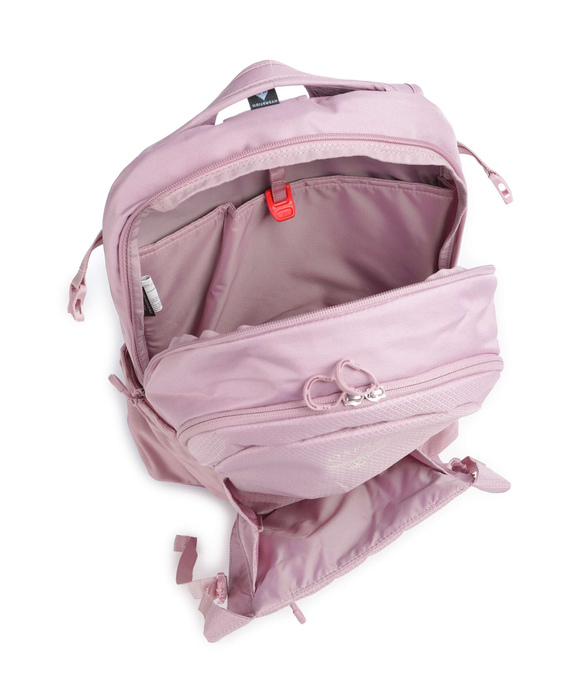 Osprey Daylite Plus Plecak iris pink - Image 6