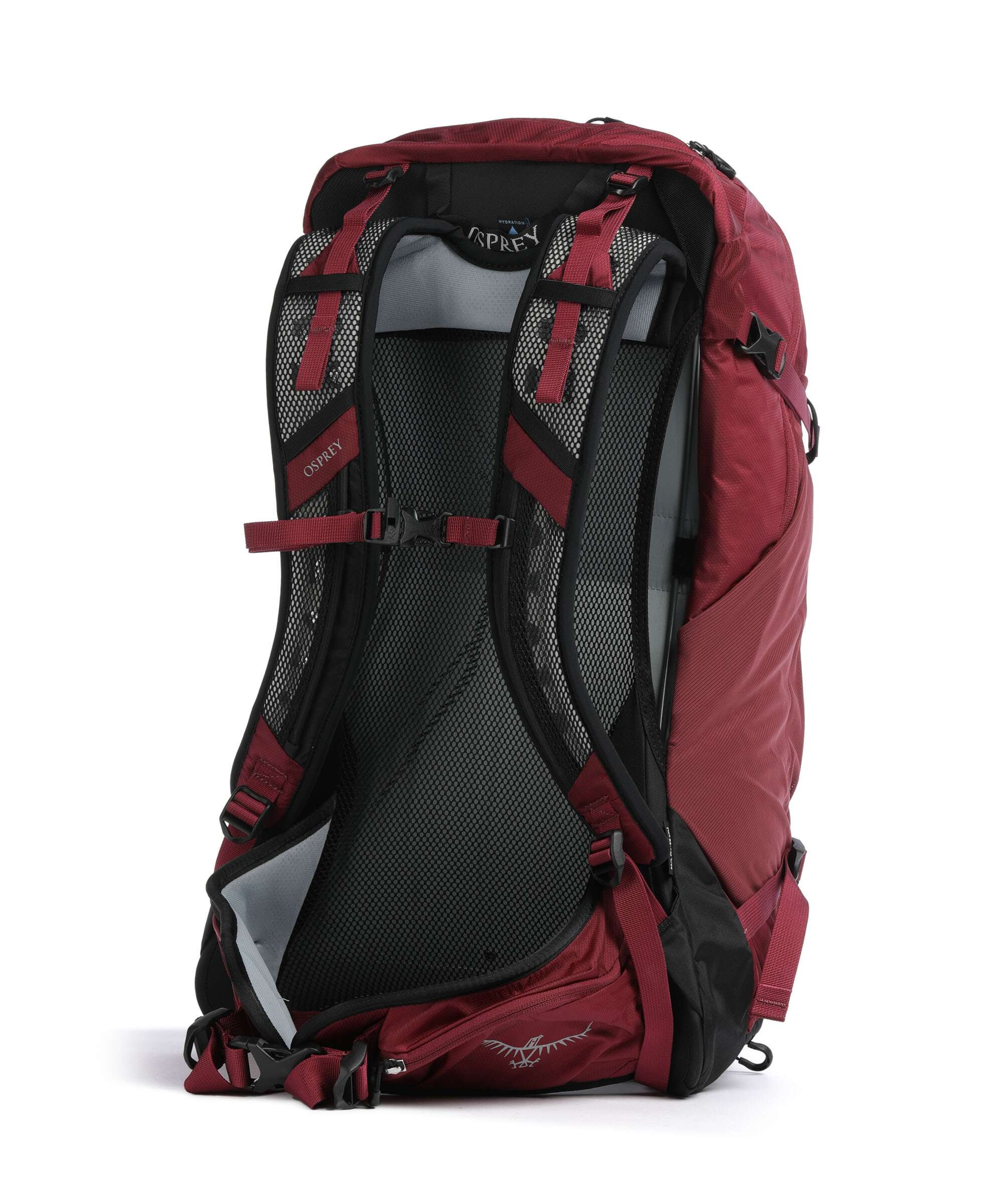 Osprey Hikelite 28 M/L Plecak turystyczny chameleon/black - Image 2