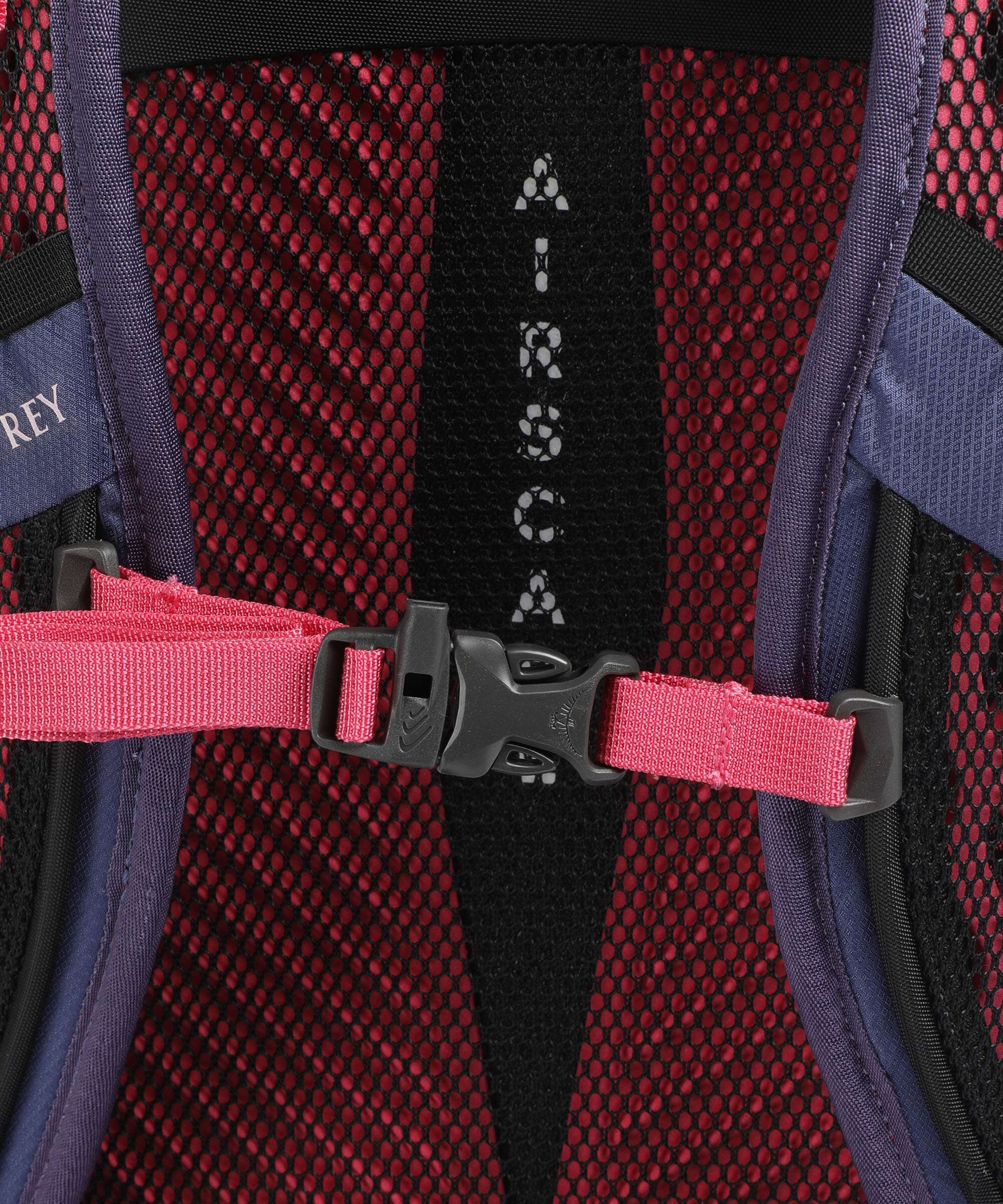 Osprey Sportlite 30 S/M Plecak turystyczny alkaline/hotspot pink - Image 3