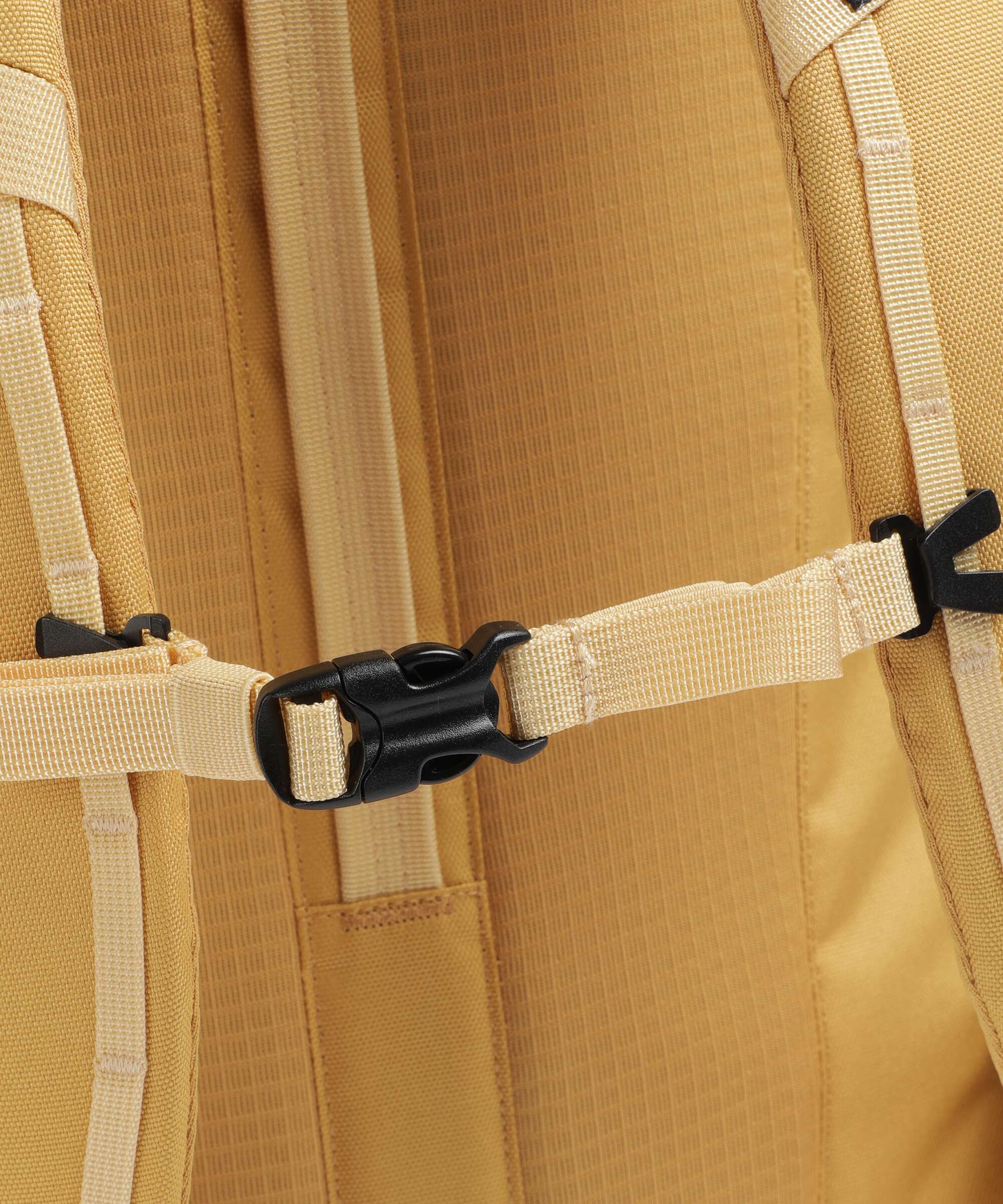Patagonia Black Hole 32 Plecak pufferfish gold/beeswax tan - Image 4